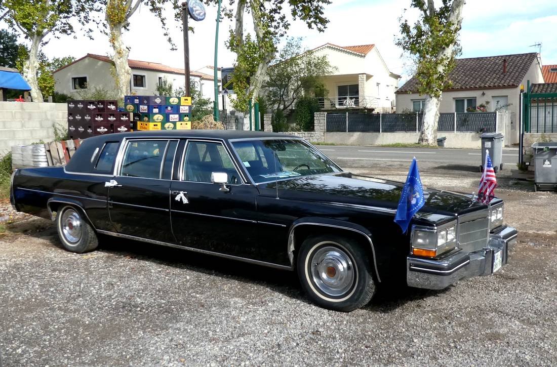 cadillac fleedwort ambassade 84 dr1