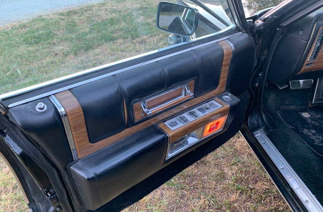 cadillac fleedwort ambassade 84 pav