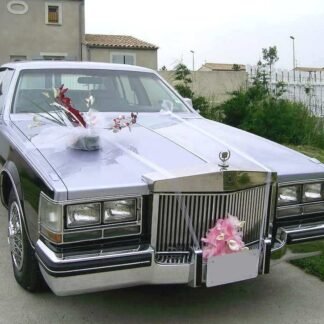 cadillac seville 82 e