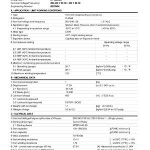 Compresseur EMBRACO NT6222GK