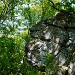 Au cayau qui bique Flora Leturcq par Darius24864