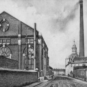 El Scottisch del Baraque des Bos par Bellerophon2008