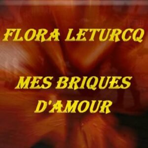 mes briques d'amour Flora Leturcq par Yvan Visée
