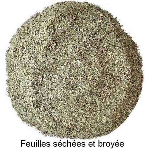 Feuilles STÉVIA BIO séchées broyées ingrédient